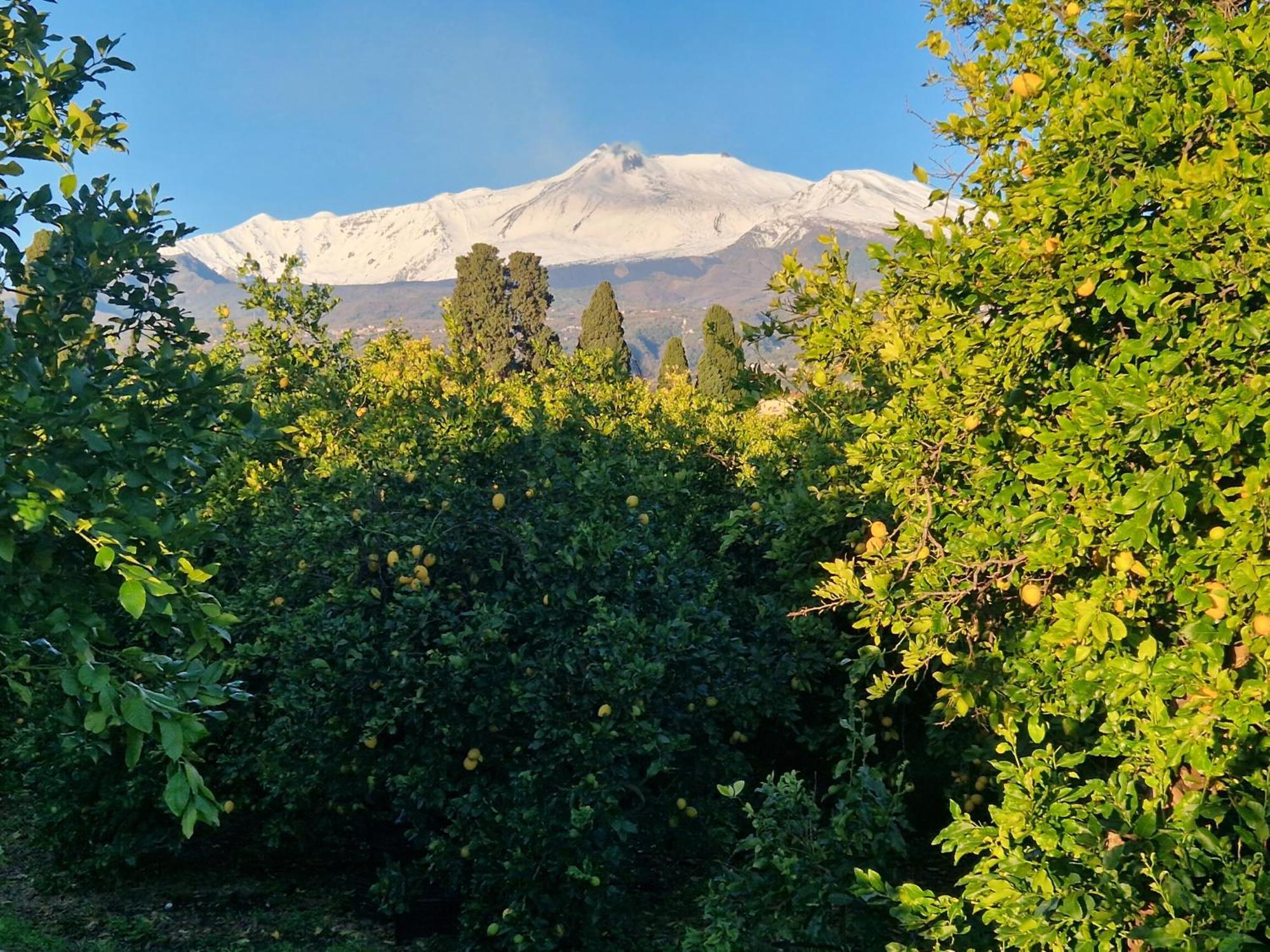 Lumia Villa Riposto Dış mekan fotoğraf
