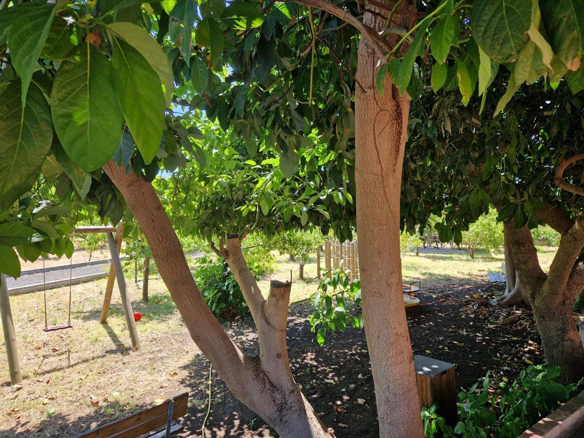 Lumia Villa Riposto Dış mekan fotoğraf